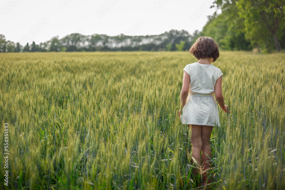 back view of girl with short hair in striped dress standing in wheat field back view of girl with short hair in striped dress standing in wheat field