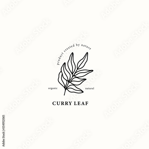Line art curry leaf illustration