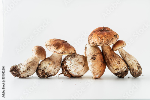 porcini mushrooms on a white background. shooting in the studio
