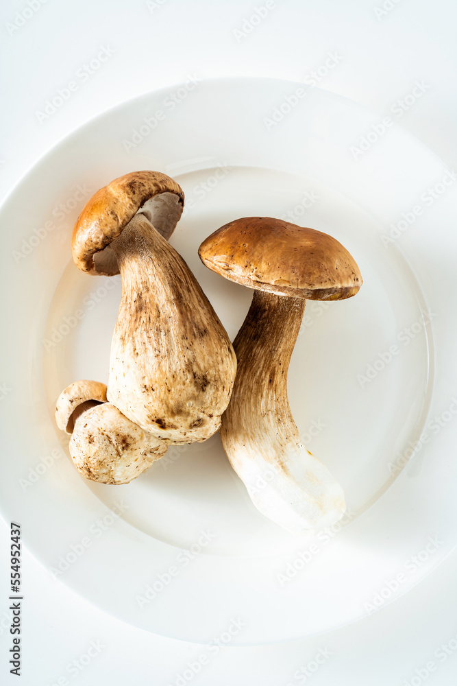 porcini mushrooms on a white plate. shooting in the studio porcini mushrooms on a white plate. shooting in the studio
