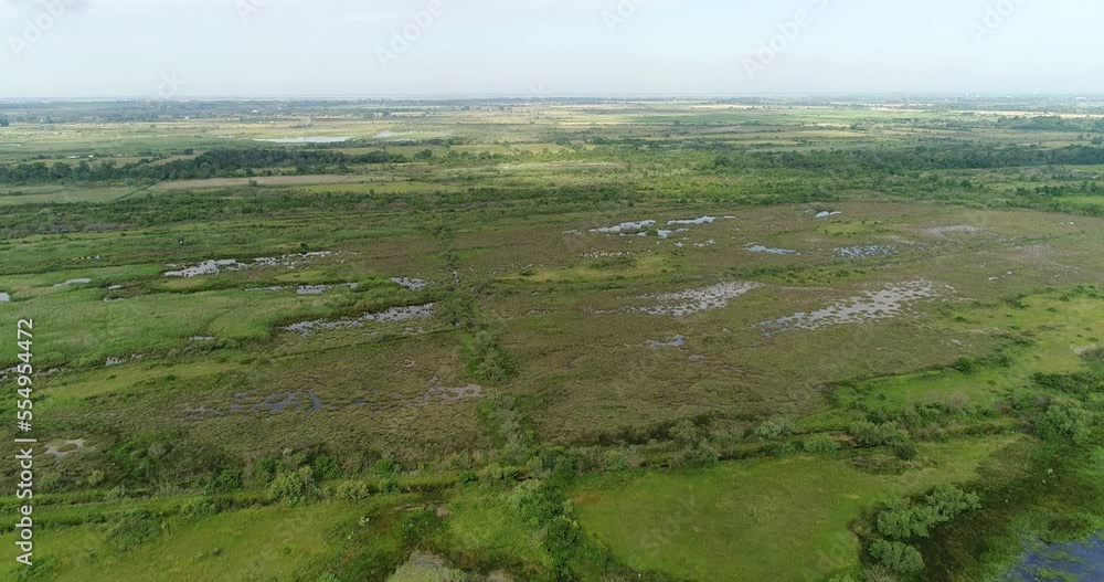 Vue aérienne - Cheptel taureaux de Camargue - Chevaux Vue aérienne - Cheptel taureaux de Camargue - Chevaux