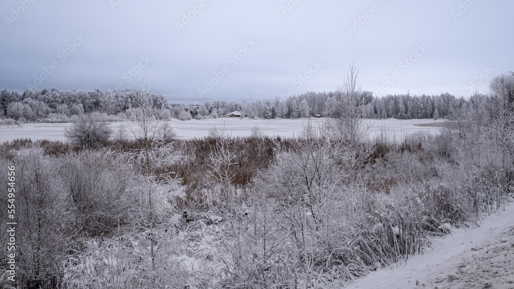 snow and frost covered field with trees and bush and reeds. Ice covered pond ahead. Cold gloomy winter morning