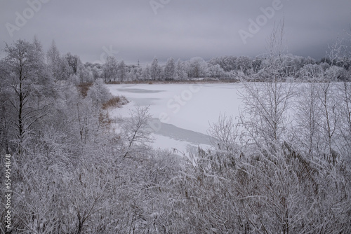 snow and frost covered field with trees and bush and reeds. Ice covered pond ahead. Cold gloomy winter morning © Neils