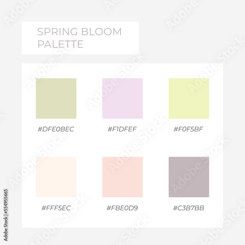  Color element. Trendy pallete of color. Cozy color pallete. Swatch summer shade tone with hex code. Spring pastel colors.
