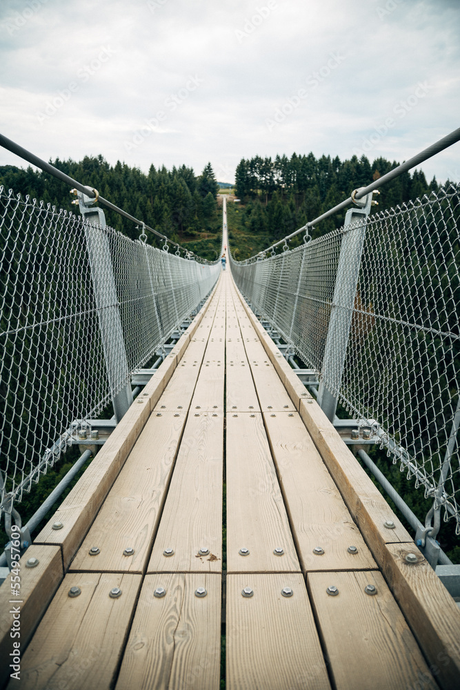 Obraz premium suspension bridge in germany