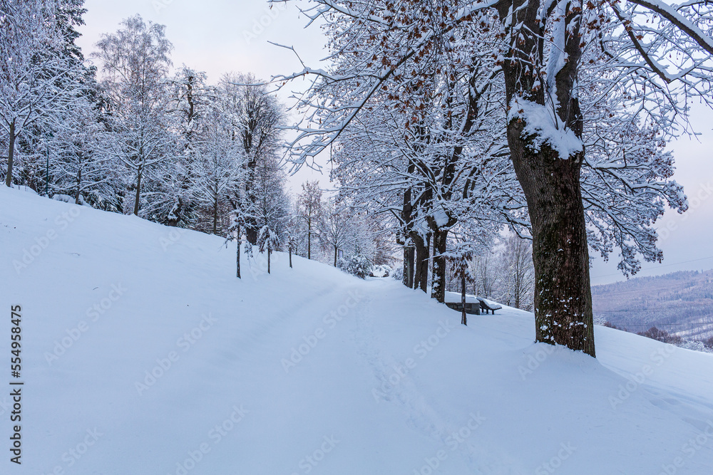 Fototapeta premium The road through the winter, snowy forest. Trees in the snow. Snow hidden path