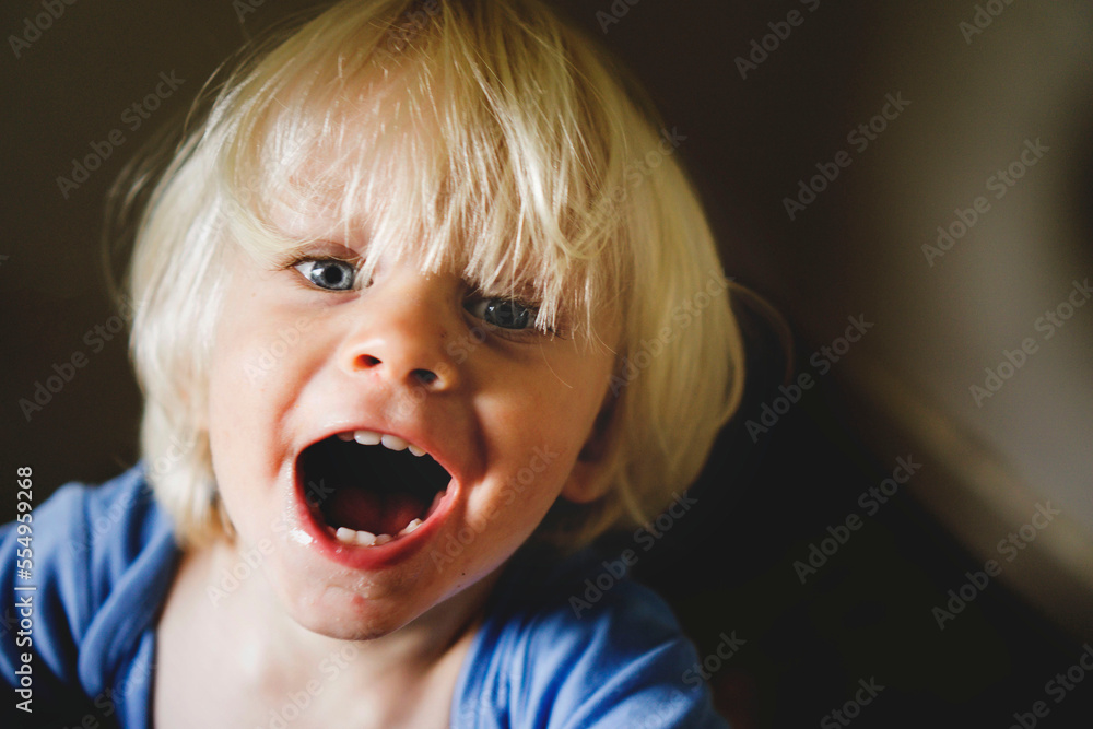 Little blonde boy shouting into the camera. Little blonde boy shouting into the camera.