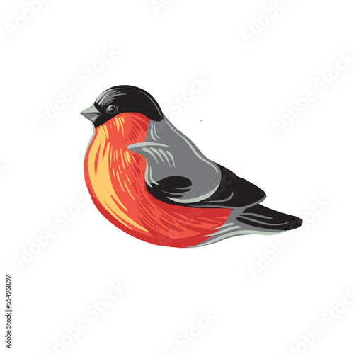 bullfinch
