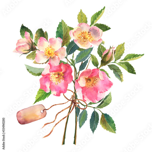 фотографія Watercolor dog-rose Briar with berries bouquet, flowers and green leaves, tag, bow, isolated on white background
