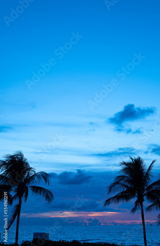 Vertical Miami Sunrise