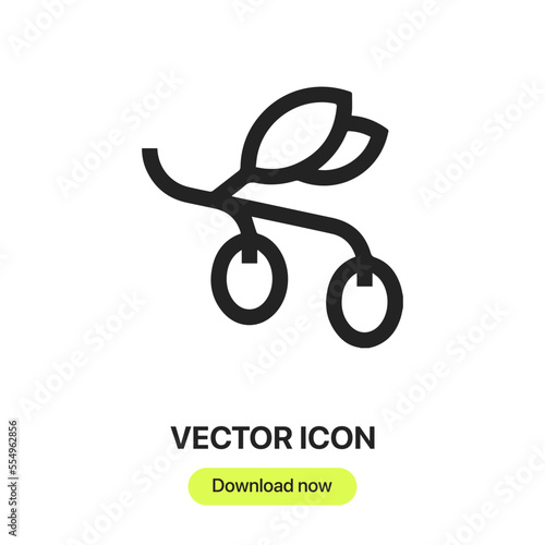 olive icon vector. Linear style sign for mobile concept and web design. olive symbol illustration. Pixel vector graphics - Vector.