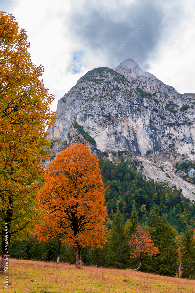 Fototapeta premium Ahornboden during autumn (Eng Valley, Tyrol, Austria)