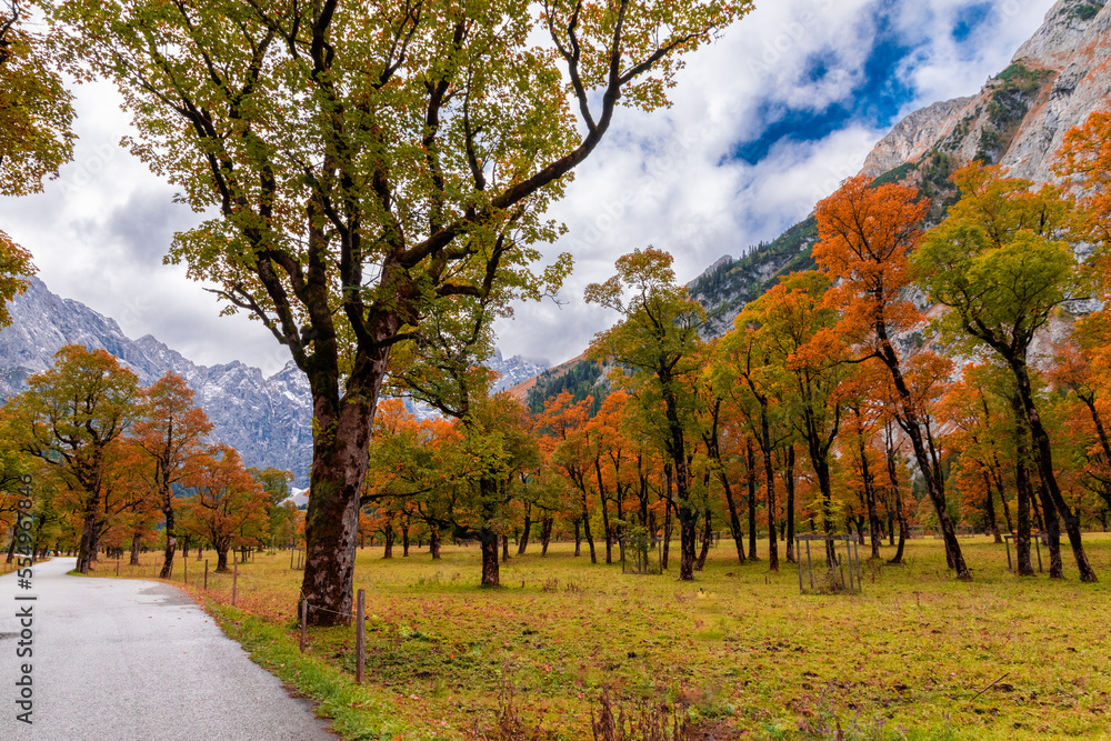 Naklejka premium Ahornboden during autumn (Eng Valley, Tyrol, Austria)