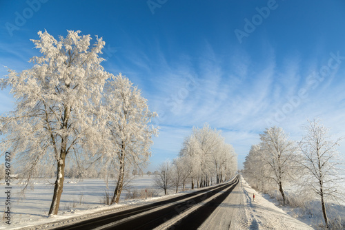 Landscape winter frosty sunny day, blue sky, trees covered with frost, road and snow, Poland Europe © Marcin Perkowski