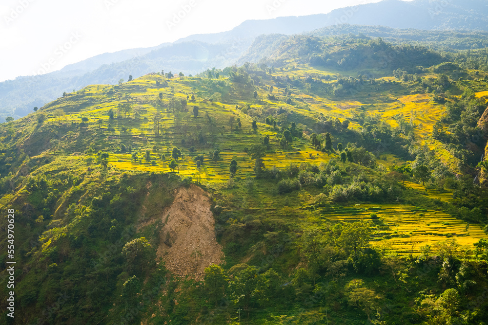 Obraz premium Farm terraces in the himalayan moutains on the Annapurna Circuit Trek, Nepal