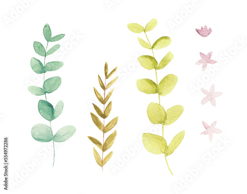 Fototapeta Naklejka Na Ścianę i Meble -  Watercolor illustration of a set of individual branches with leaves and small pink flowers. Decorative sprigs of eucalyptus