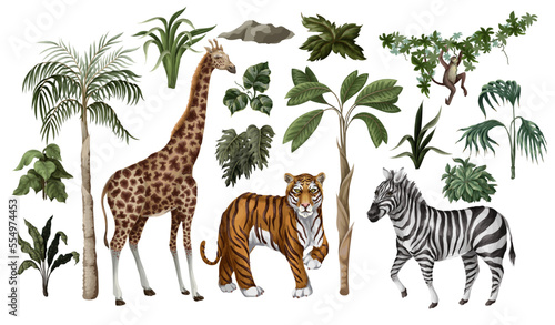 Jungle animals and trees isolated. Vector. photo