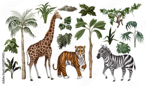 Jungle animals and trees isolated. Vector.