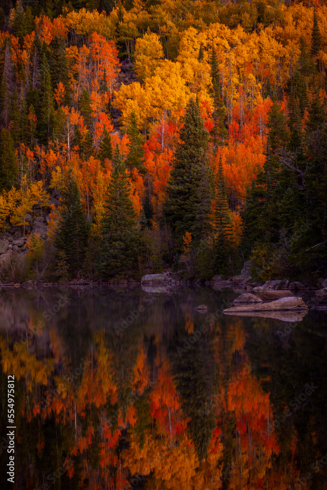 Fototapeta premium autumn in the park