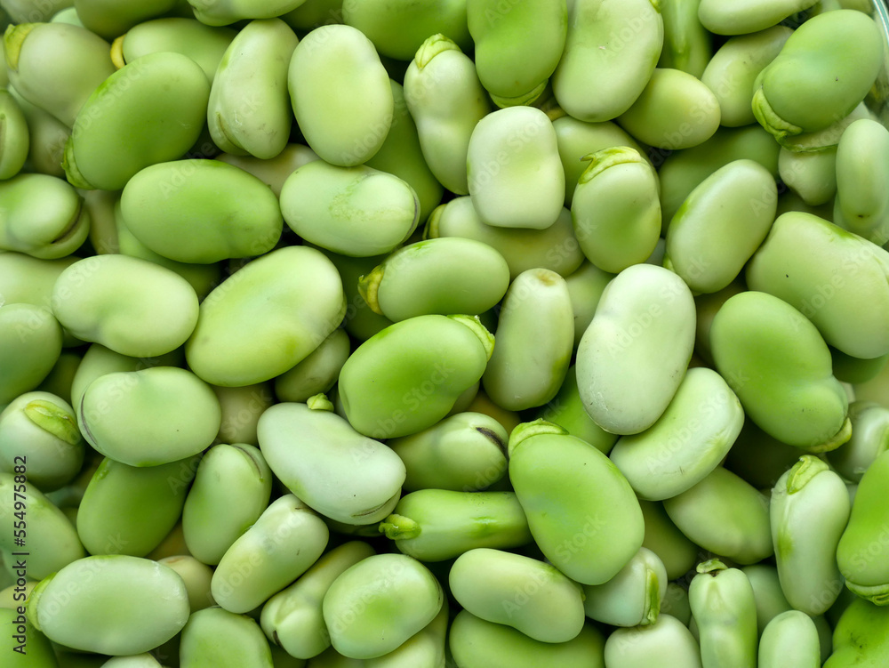 fresh broad bean, broad bean seeds, table-edible fresh broad bean, fresh broad bean, broad bean seeds, table-edible fresh broad bean,