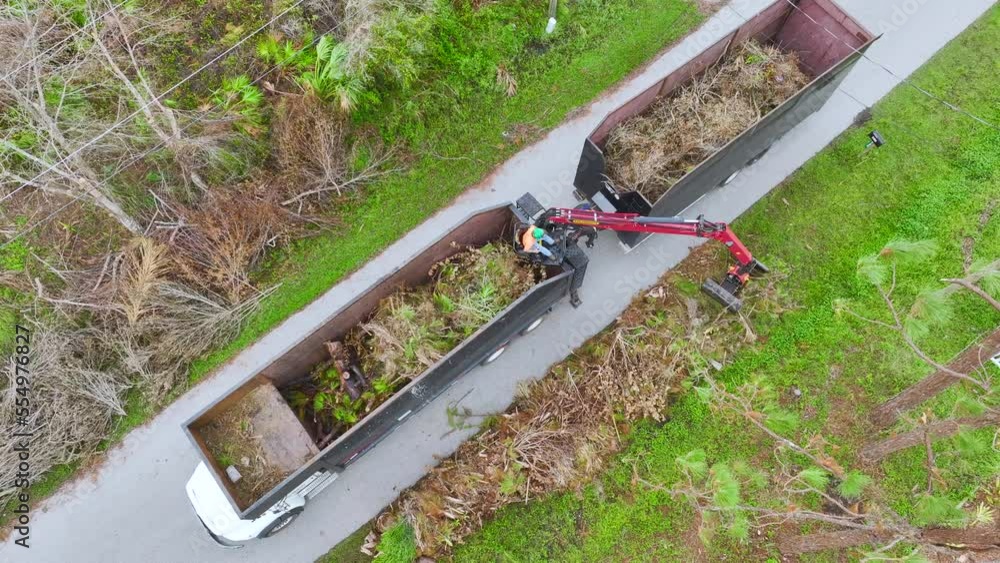 Special aftermath recovery dump truck picking up vegetation debris from