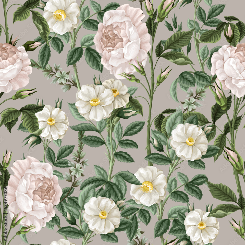 Seamless pattern with white roses. Vector. Seamless pattern with white roses. Vector.