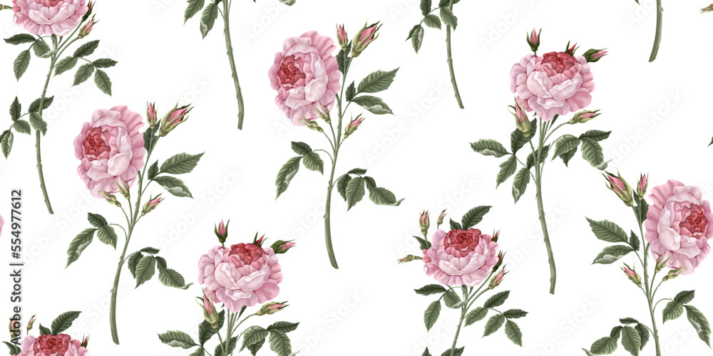 Seamless pattern with pink vintage roses. Vector.