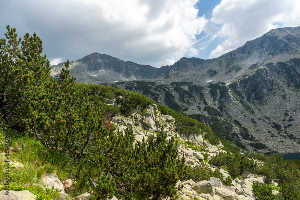 Pirin Mountain near Banderitsa River, Bulgaria