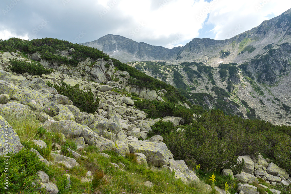 Pirin Mountain near Banderitsa River, Bulgaria Pirin Mountain near Banderitsa River, Bulgaria