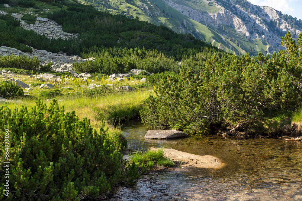 Pirin Mountain near Banderitsa River, Bulgaria