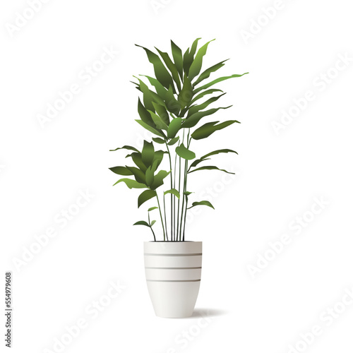 Vector realistic Indoor plant with leaves in pot. Detailed houseplant in striped ceramic pot isolated. Calathea for interior decoration.