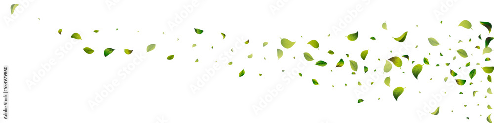 Green Foliage Realistic White Panoramic Vector Green Foliage Realistic White Panoramic Vector