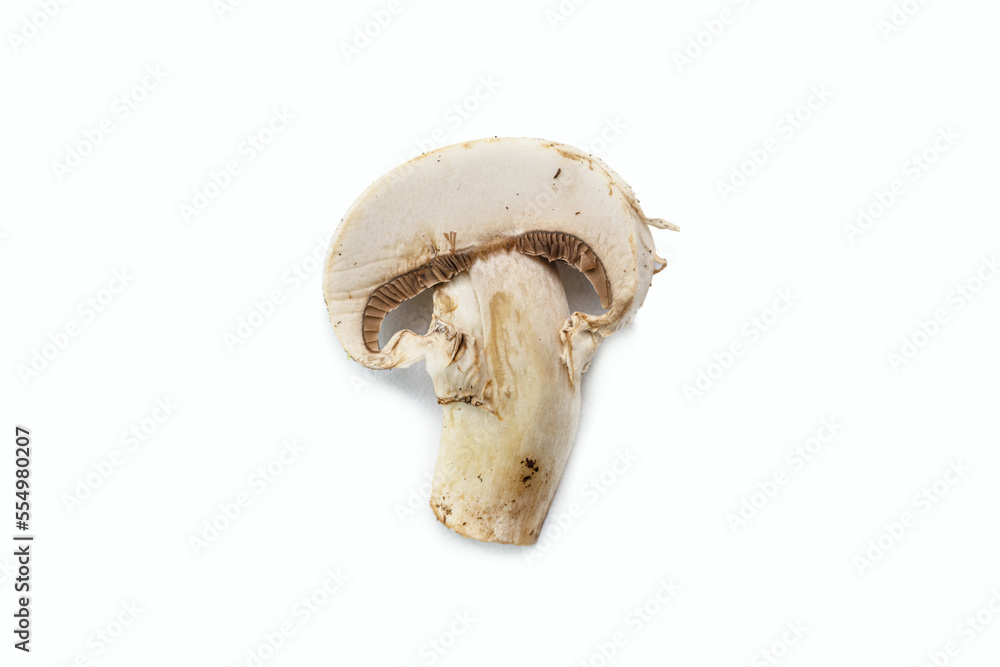 mushroom cut on white background mushroom cut on white background