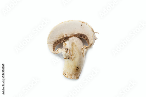mushroom cut on white background
