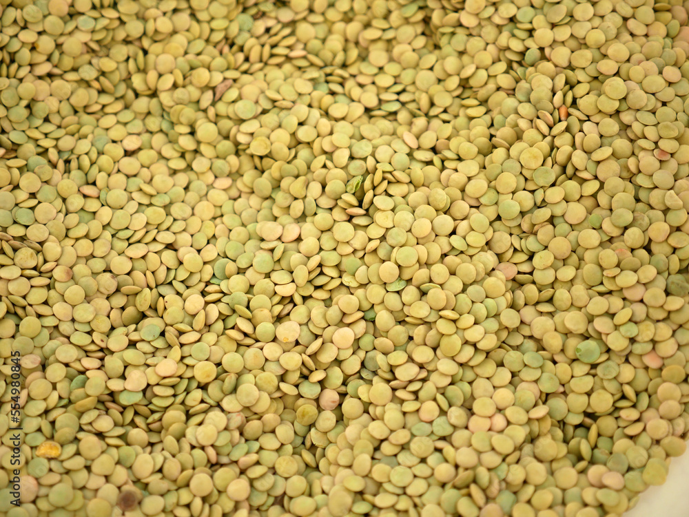 protein source, natural green dried lentils, useful dried legumes,