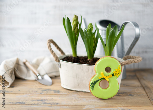 Congratulations on the 8th of March. Gingerbread number 8 on the background of a pot with flowers and gardening tools