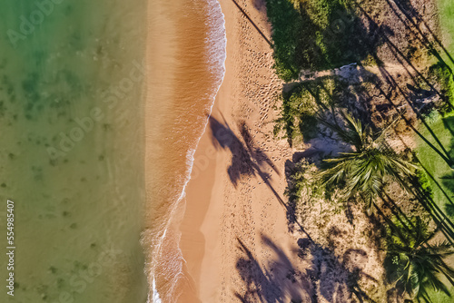 Aerial drone shot of beautiful sandy beach with tall palms and shadows.
