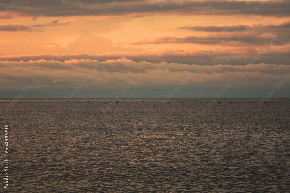 Naklejka premium sunrise over the ocean