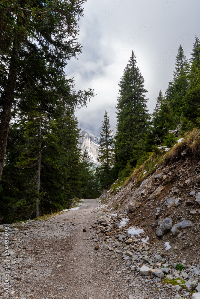 trail in the mountains trail in the mountains