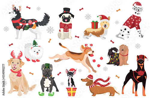 Group of funny dogs with Christmas decor and gifts on white background