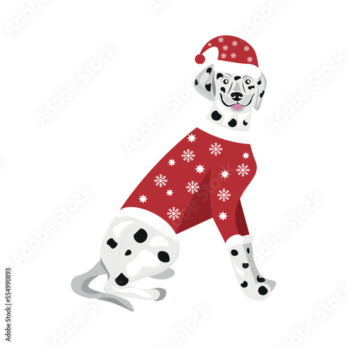 Funny dalmatian dog in Christmas clothes on white background