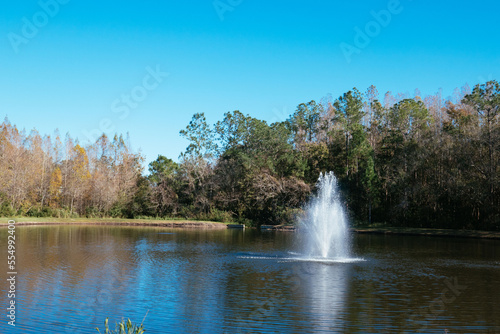 Colorful winter tropical tree leaf and pond 