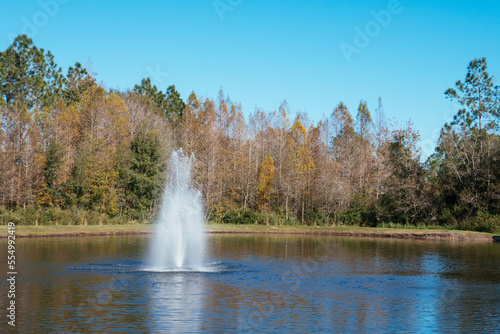 Colorful winter tropical tree leaf and pond 