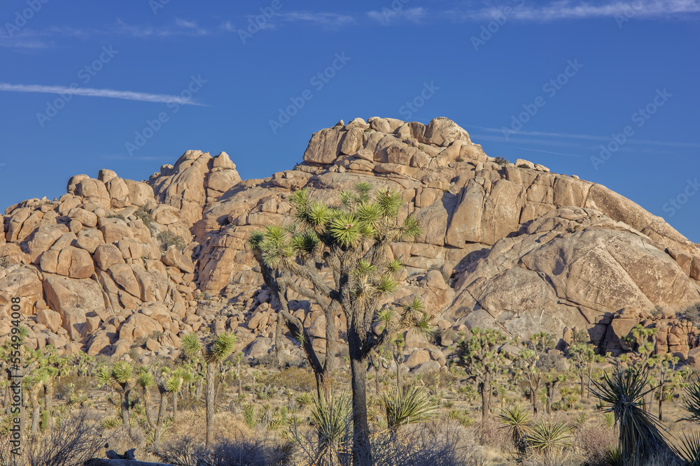 Joshua Tree National Park Rock Formations During the Day Joshua Tree National Park Rock Formations During the Day