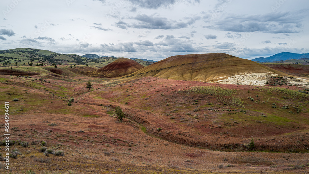 Fototapeta premium Painted hills near John Day Fossil Beds