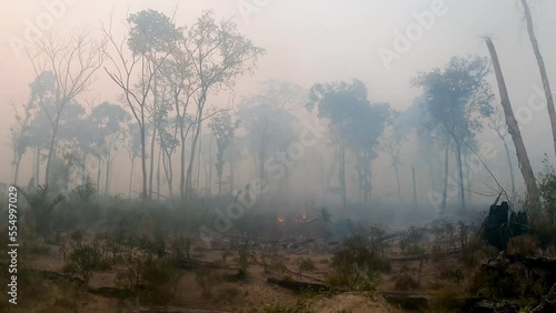 Forest fires and destruction in the BR-163 road in the Amazon rainforest region, in the state of Para, Brazil, documented during the 2022 record fire season. photo
