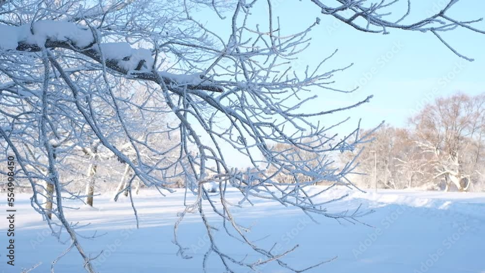 Beautiful winter landscape with trees covered with snow. Horizontal photography Beautiful winter landscape with trees covered with snow. Horizontal photography
