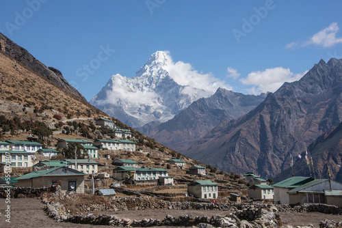 Terraced barley fields, Upper Pangboche, Khumbu, Nepal 