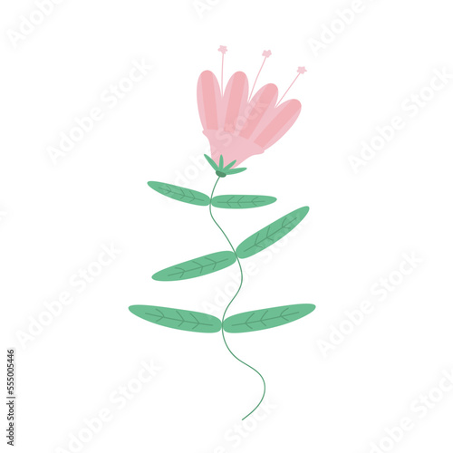 Vector image of a pink bell flower on a stem with leaves