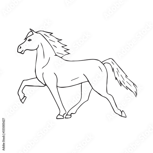 Vector hand drawn doodle sketch Iceland horse isolated on white background